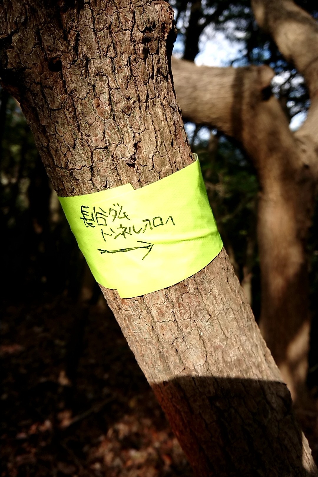 立花山・三日月山・城ノ越山 はじめて見る黄色いテープ。見やすい！