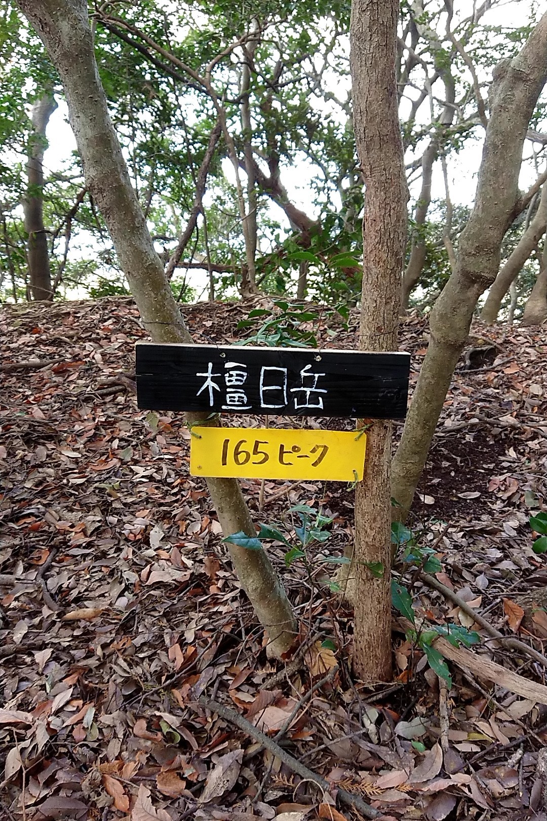 立花山・三日月山・城ノ越山 今日の目標だった「新しい山をつくろう！」
三日月湖ルートそばにある165ピークに
『橿日岳(かしいだけ）』と名付けた。