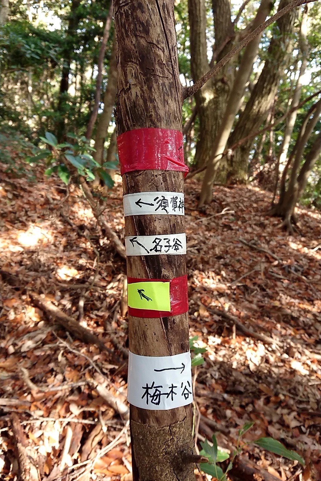 立花山・三日月山・城ノ越山 すごい道案内テープだ。「油断するな」「気をつけて」と書いているのは僕だが、ここには僕のテープはない。で、名子岳をめざすのは梅木谷の方なのに名子谷・須賀神社方向に少し歩いてしまった！😅！😓！😱