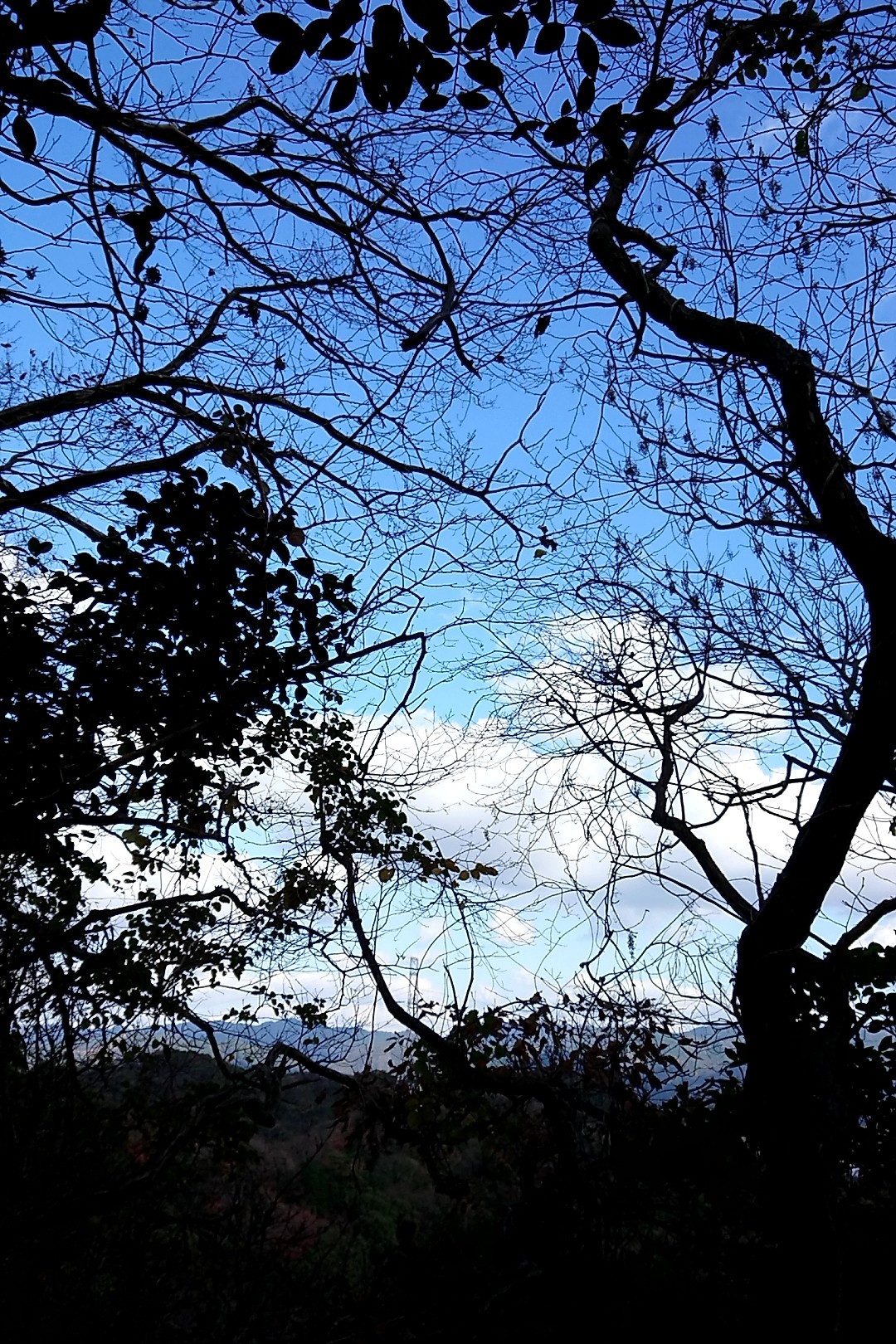 立花山・三日月山・城ノ越山 名子岳手前からの青空と白い雲。今日はいろんなポイントから立花山や三日月湖や博多湾や下界の町並みが見えた。