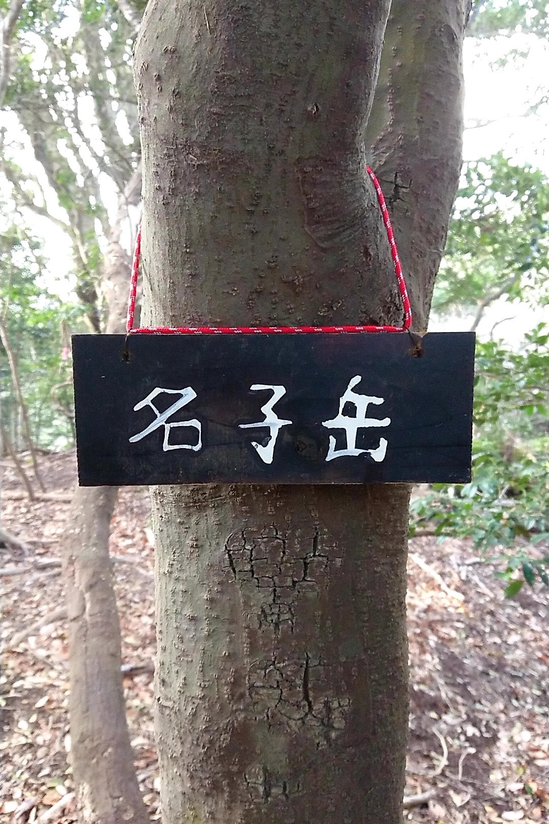 立花山・三日月山・城ノ越山 ああ、１年ぶりの名子岳だ！mapboxに名子岳の山頂マークを見てびっくりしたさ。うれしかったさ。