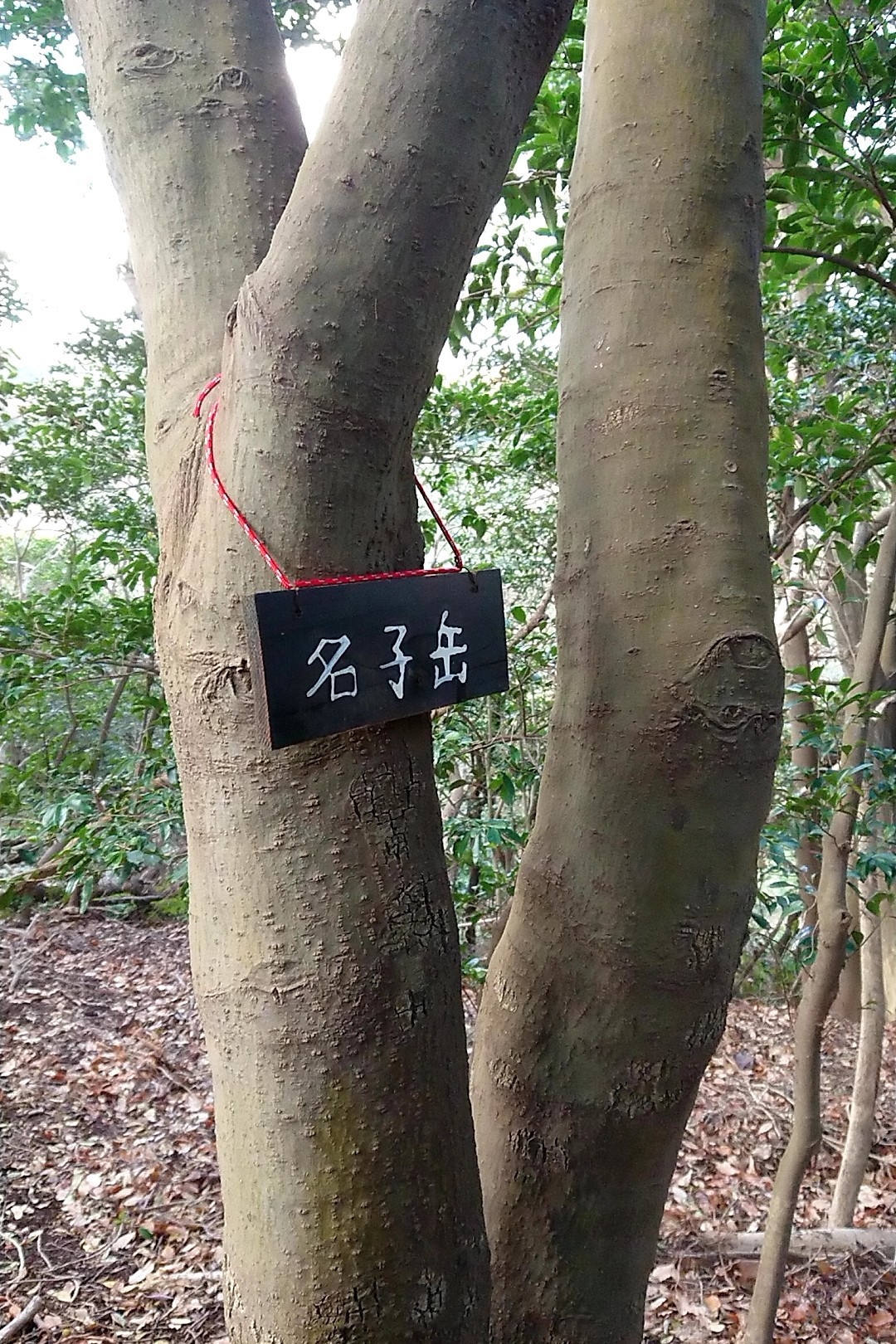 立花山・三日月山・城ノ越山 名子岳の山頂標識、赤い紐がとてもお似合い！