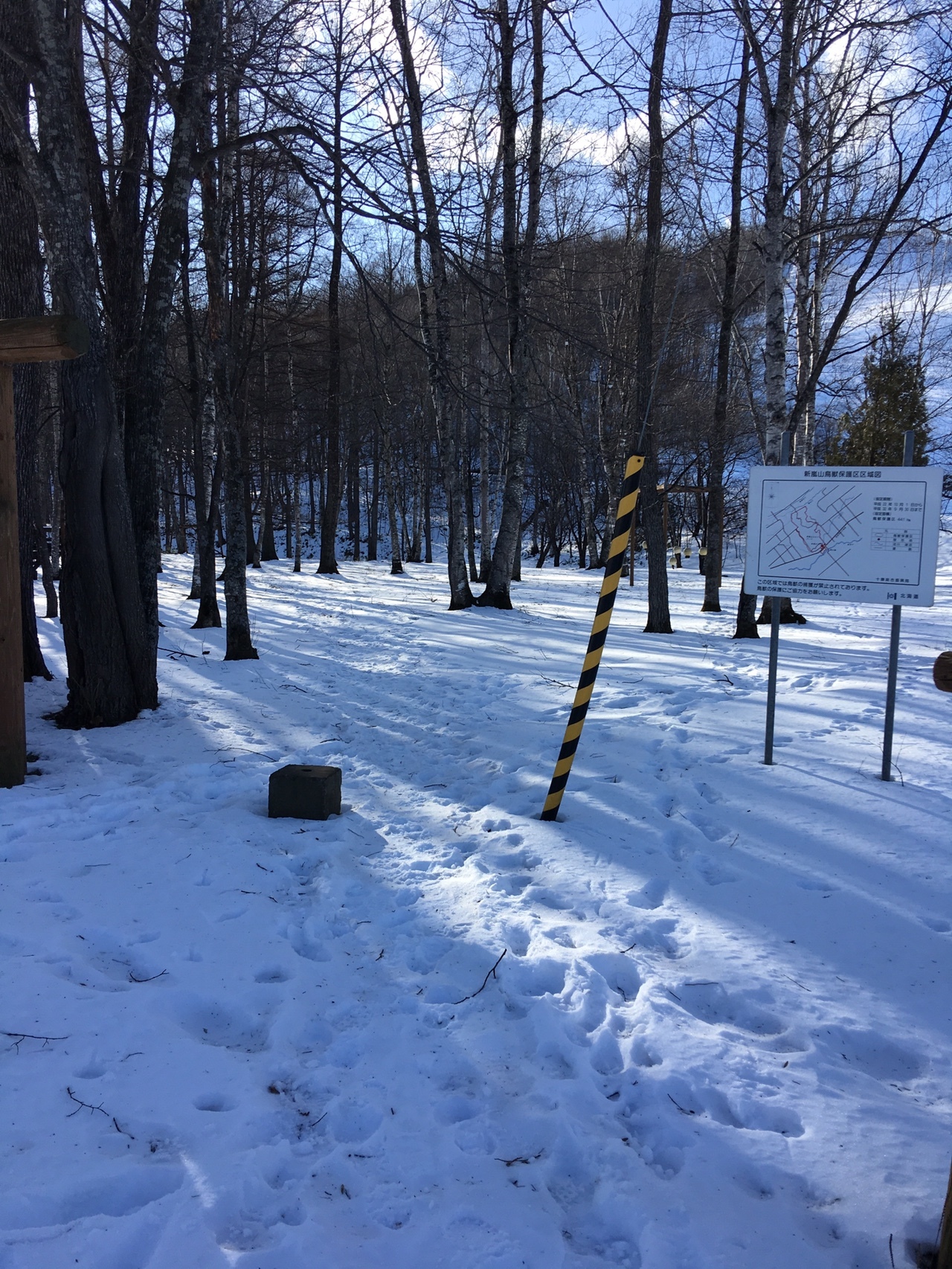 芽室町 新嵐山を散策 Rokuさんの帯広市の活動データ Yamap ヤマップ