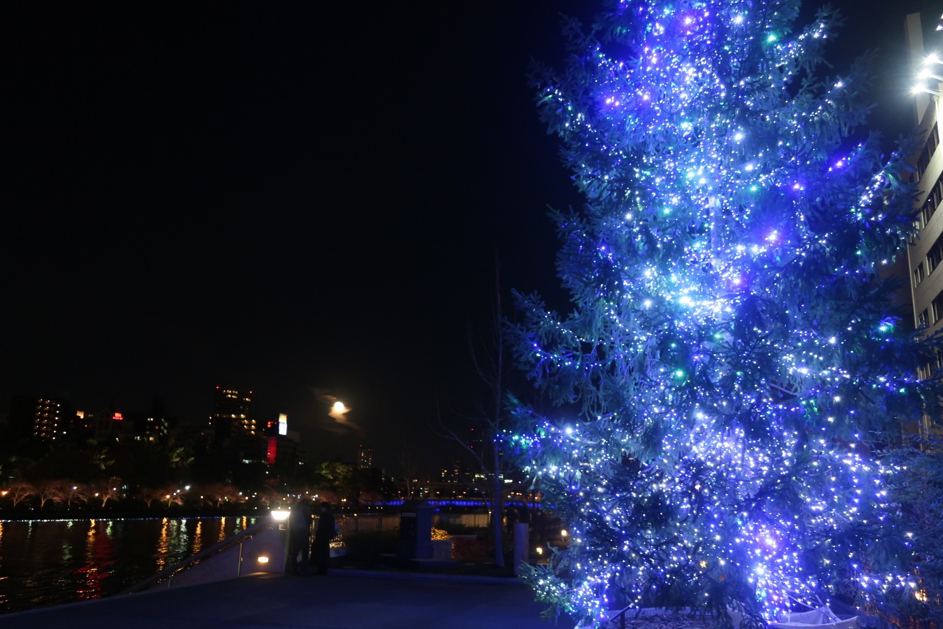 まち歩き】Xmasイルミネーション in OSAKA / 和さんの大阪市の活動 