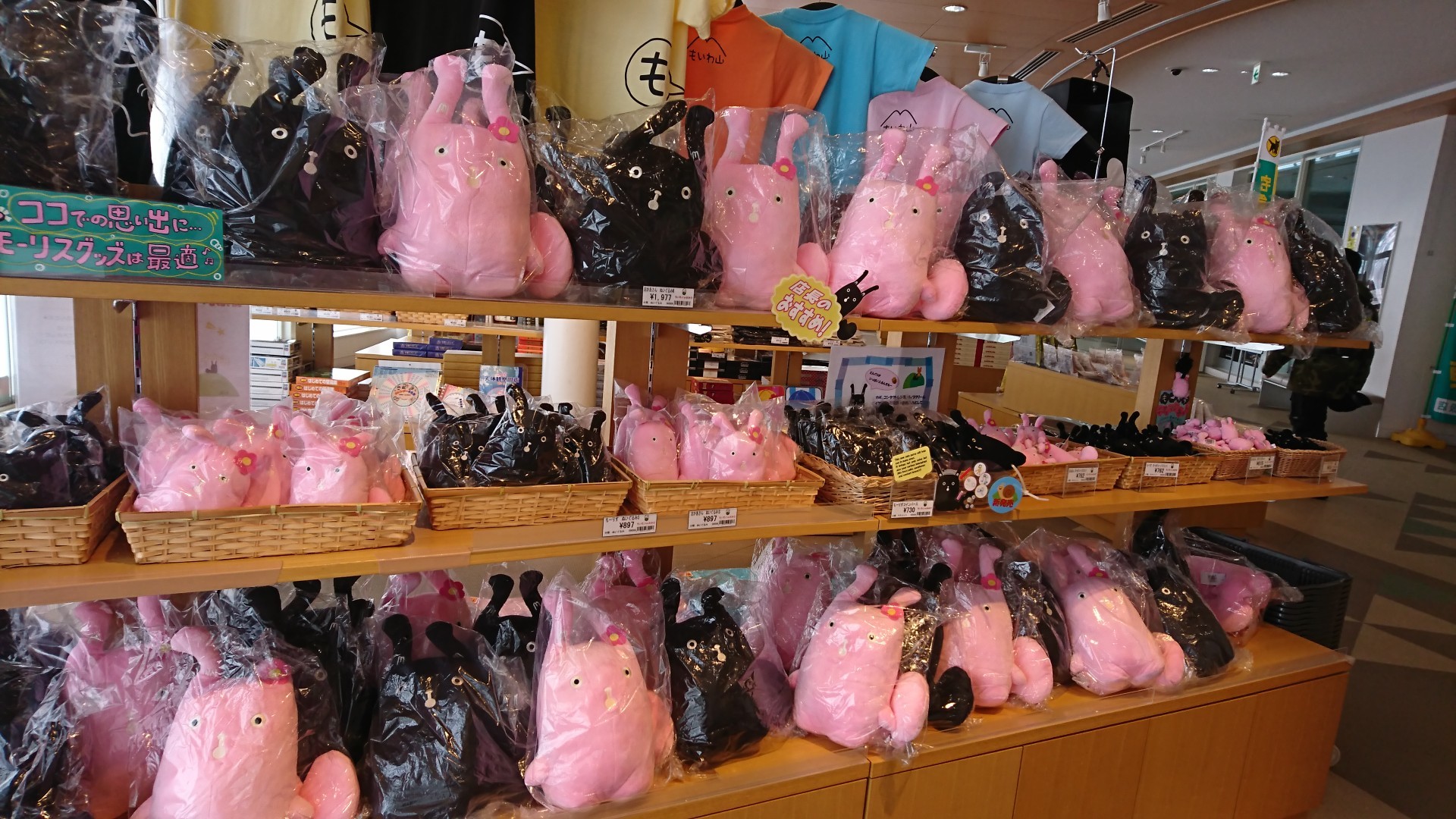 藻岩山 旭山記念公園コース 中腹駅寄り道 ゆみりんさんの藻岩山の活動データ Yamap ヤマップ