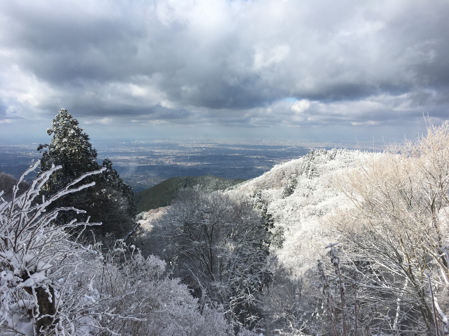 金剛山 サネ尾とガンドガコバルート Wildyukkyさんの金剛山 二上山 大和葛城山の活動データ Yamap ヤマップ