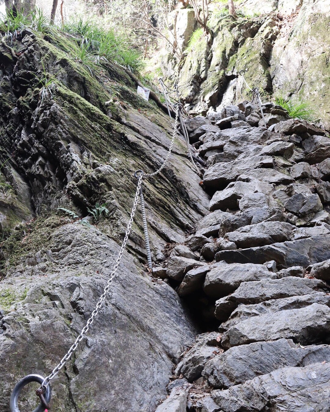 そろそろ花粉症も軽くなってきたので 登山 デール子さんのモーメント Yamap ヤマップ