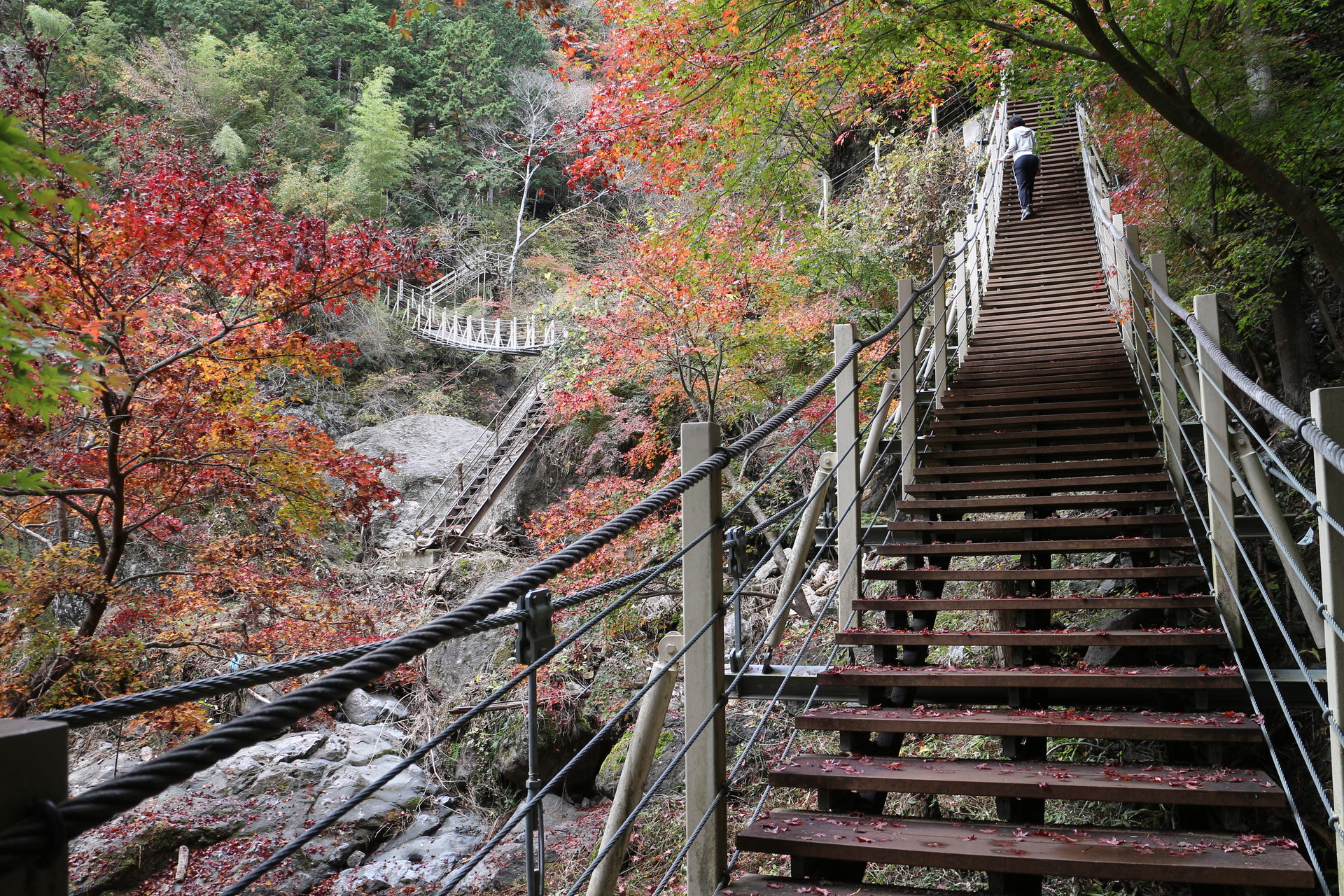 大柳川渓谷へ紅葉を見に Q3さんの富士見山 御殿山の活動データ Yamap ヤマップ