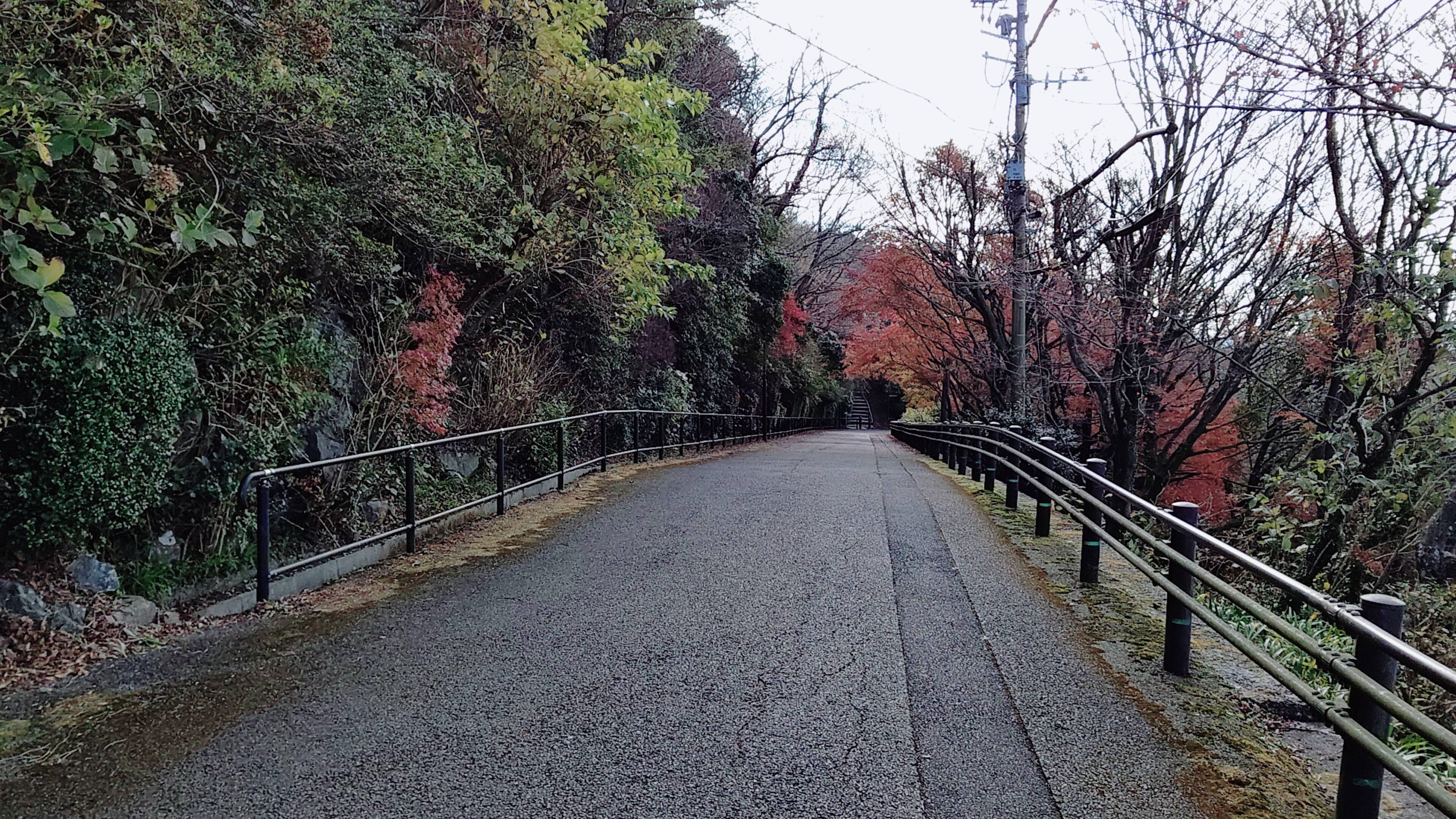 皿倉山 権現山 やっちんさんの皿倉山 花尾山 帆柱山の活動データ Yamap ヤマップ