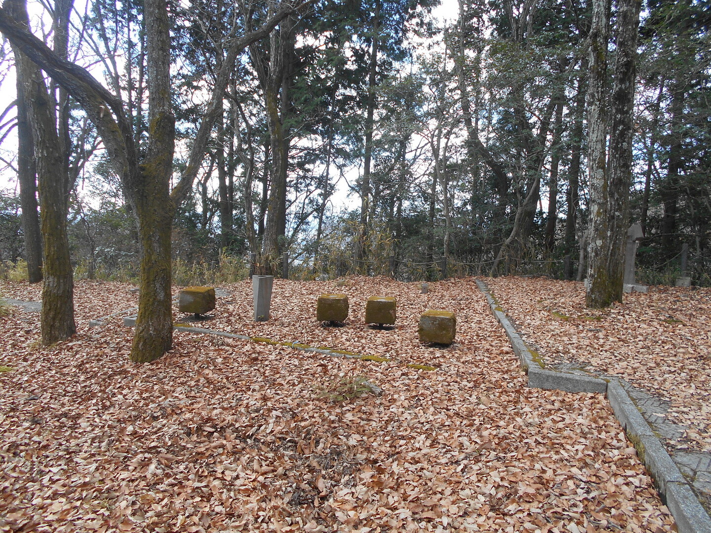 広嶺山 増井山 ヒロさんの姫路市の活動日記 Yamap ヤマップ