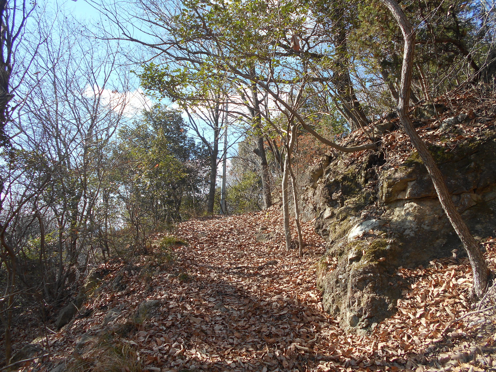 広嶺山 増井山 ヒロさんの姫路市 龍野市の活動データ Yamap ヤマップ