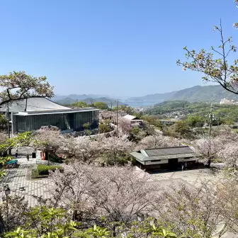 美術館と桜と山
安定のいい景色