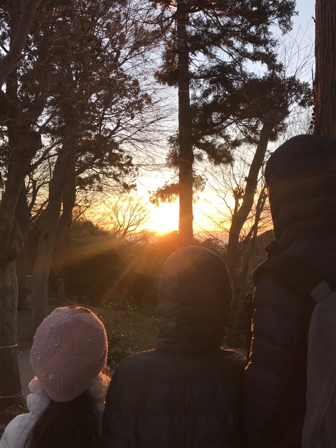 2019 子連れ初日の出 / びーぐるさんの仙台市の活動データ | YAMAP / ヤマップ