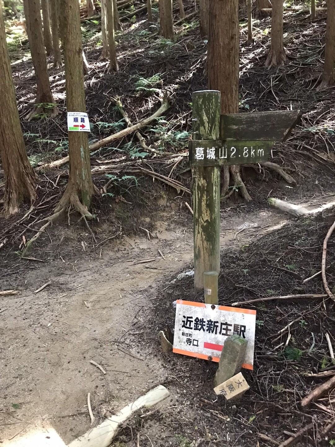 二上山（雄岳）・二上山（雌岳）・竹内山・万才山・岩橋山・富高山・大和葛城山 / も〜さんさんの金剛山・二上山・大和葛城山の活動データ