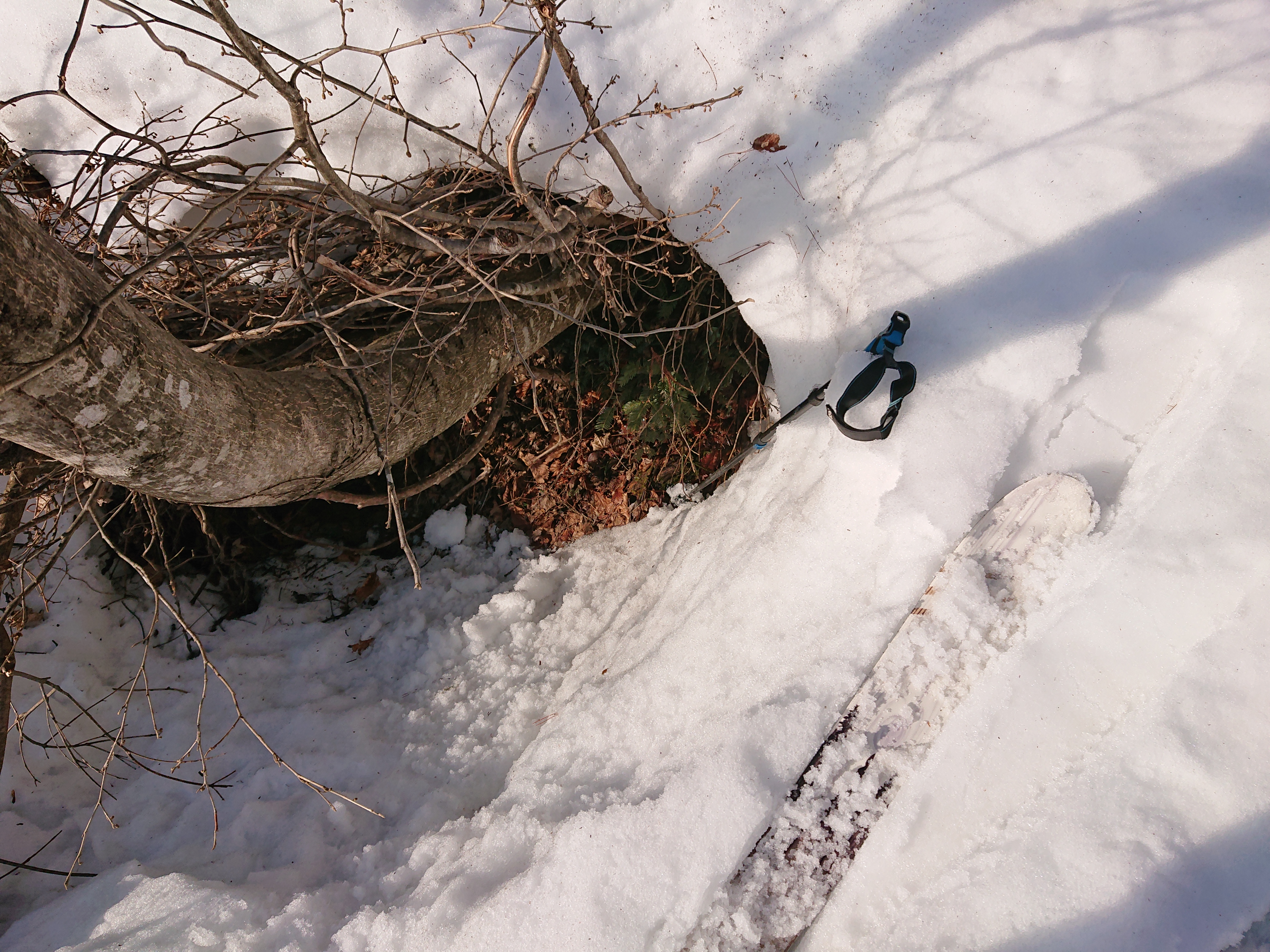 三角山 六呂師高原 Nissie Babyさんの経ヶ岳 法恩寺山の活動データ Yamap ヤマップ