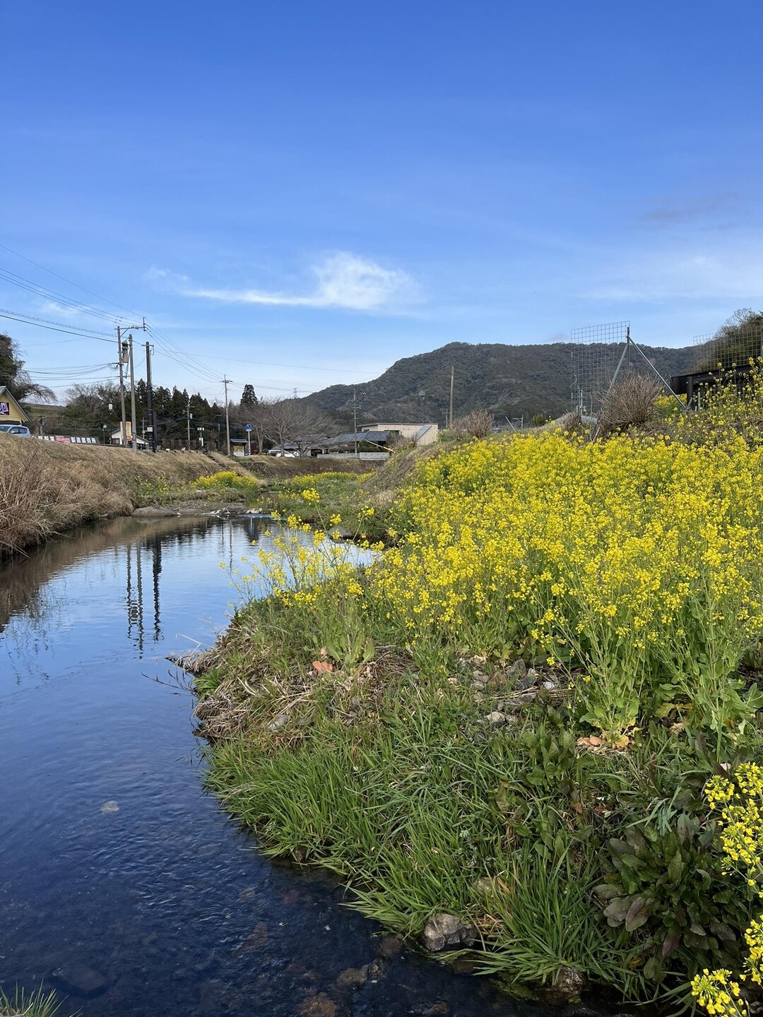 【3/13 臼杵】 10年以上ぶりの臼杵... / きっしーさんのモーメント YAMAP / ヤマップ