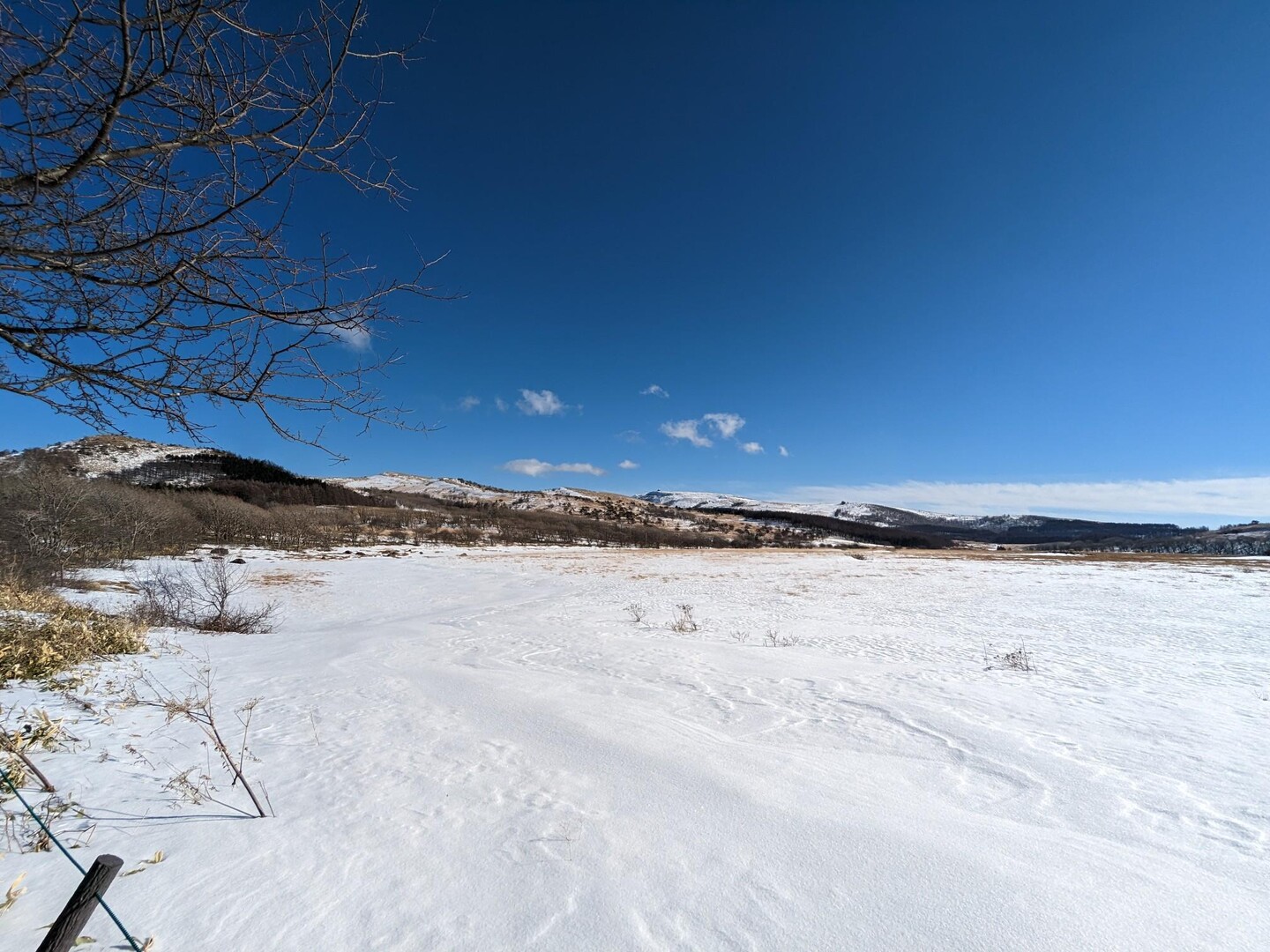 霧ヶ峰（車山から八島ヶ原湿原)の写真