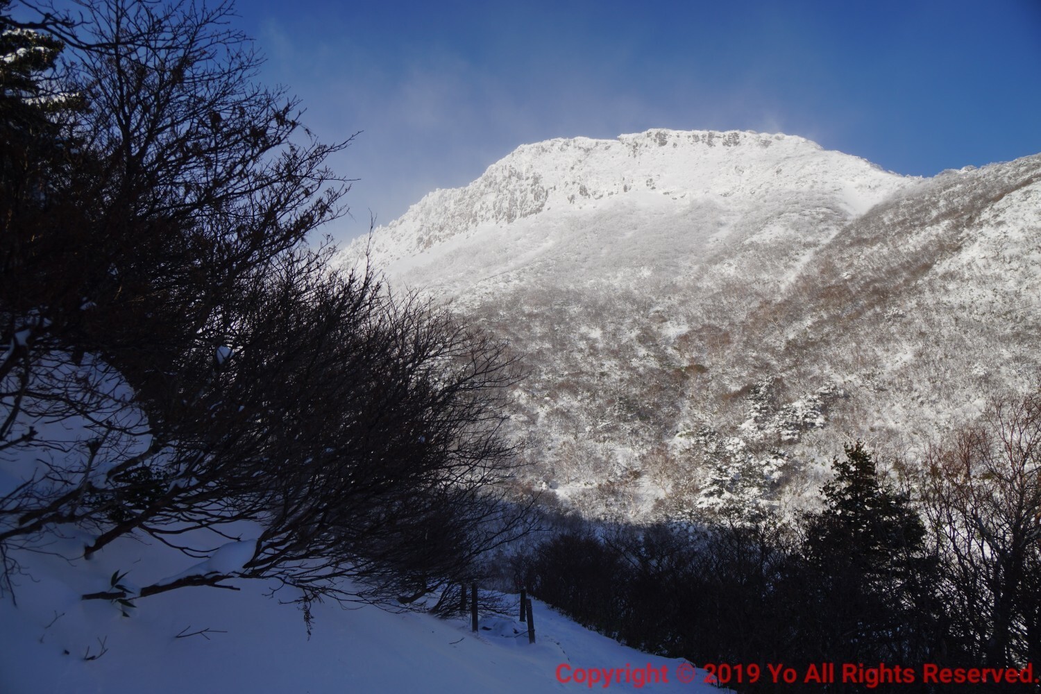 安達太良山 元日ホワイトアウトの旅 百名山座目 ようさんの安達太良山 箕輪山 鬼面山の活動日記 Yamap ヤマップ