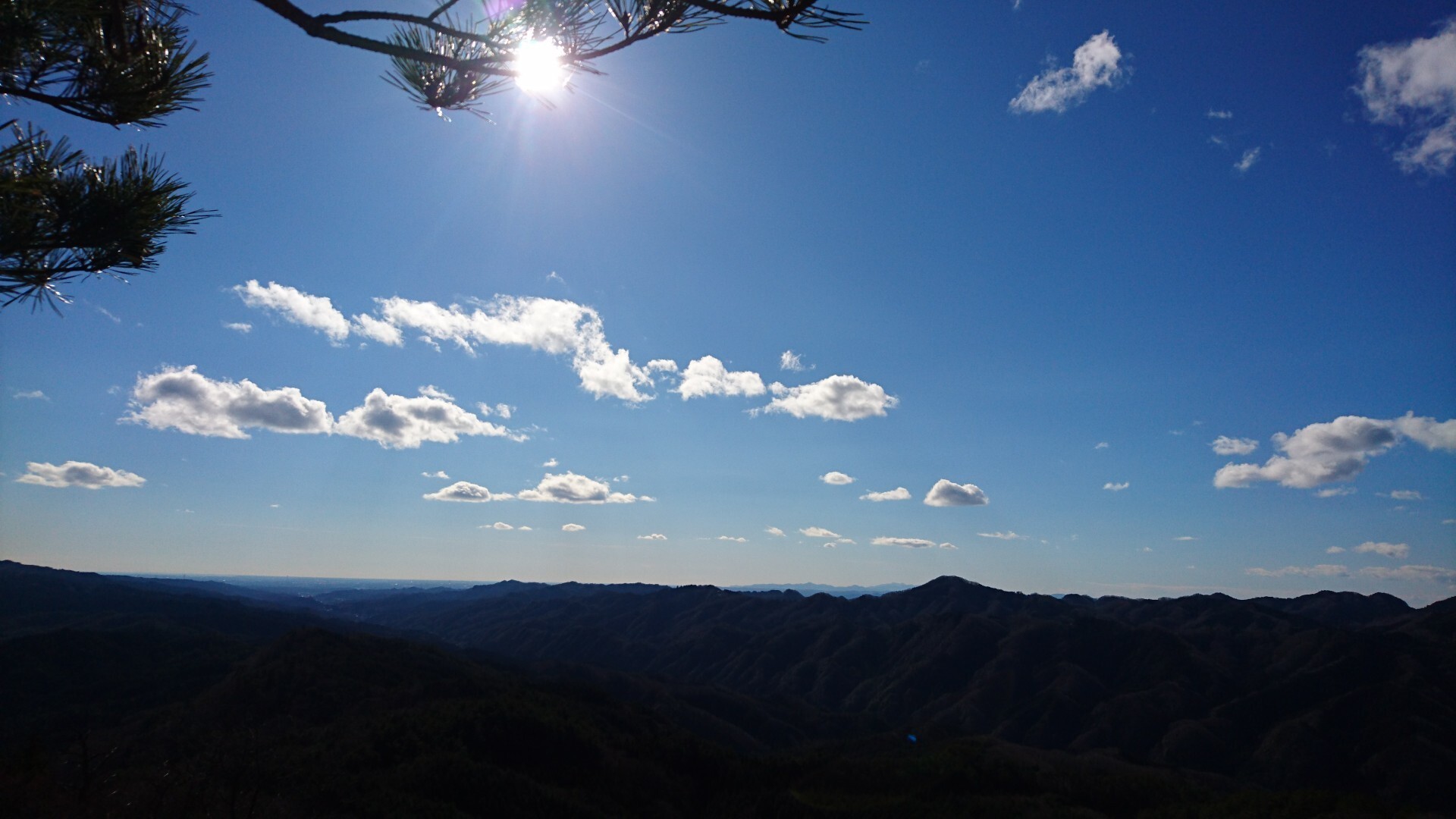 鍋足山～登り編🙌～ / ごんぽんさんの鍋足山の活動データ YAMAP / ヤマップ