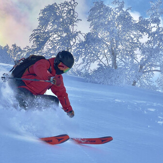 ヒマエナガさん