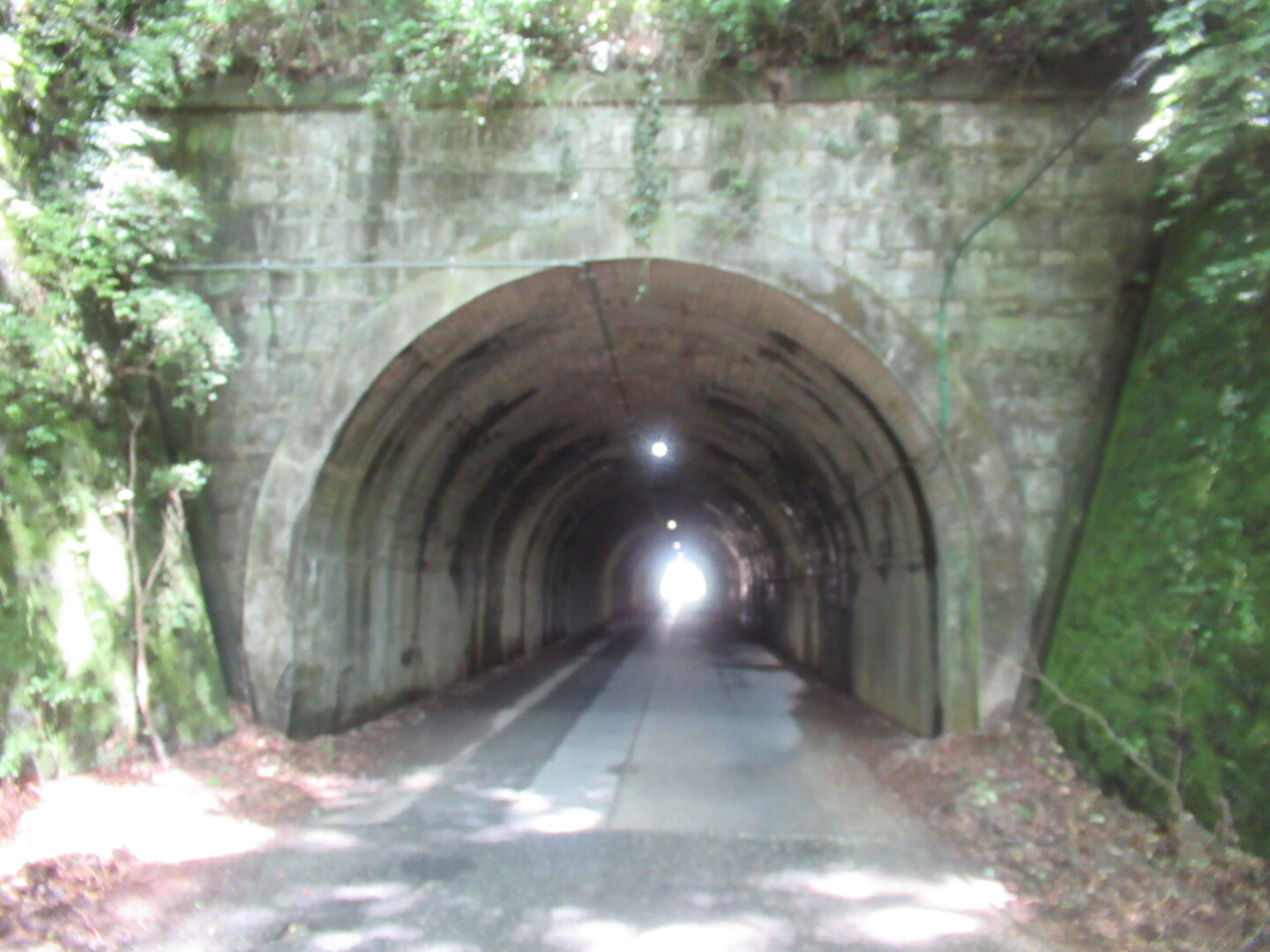 吾妻山 弘法山公園ハイキング 弘法山の写真27枚目 善波トンネル西側 秦野側 Yamap ヤマップ