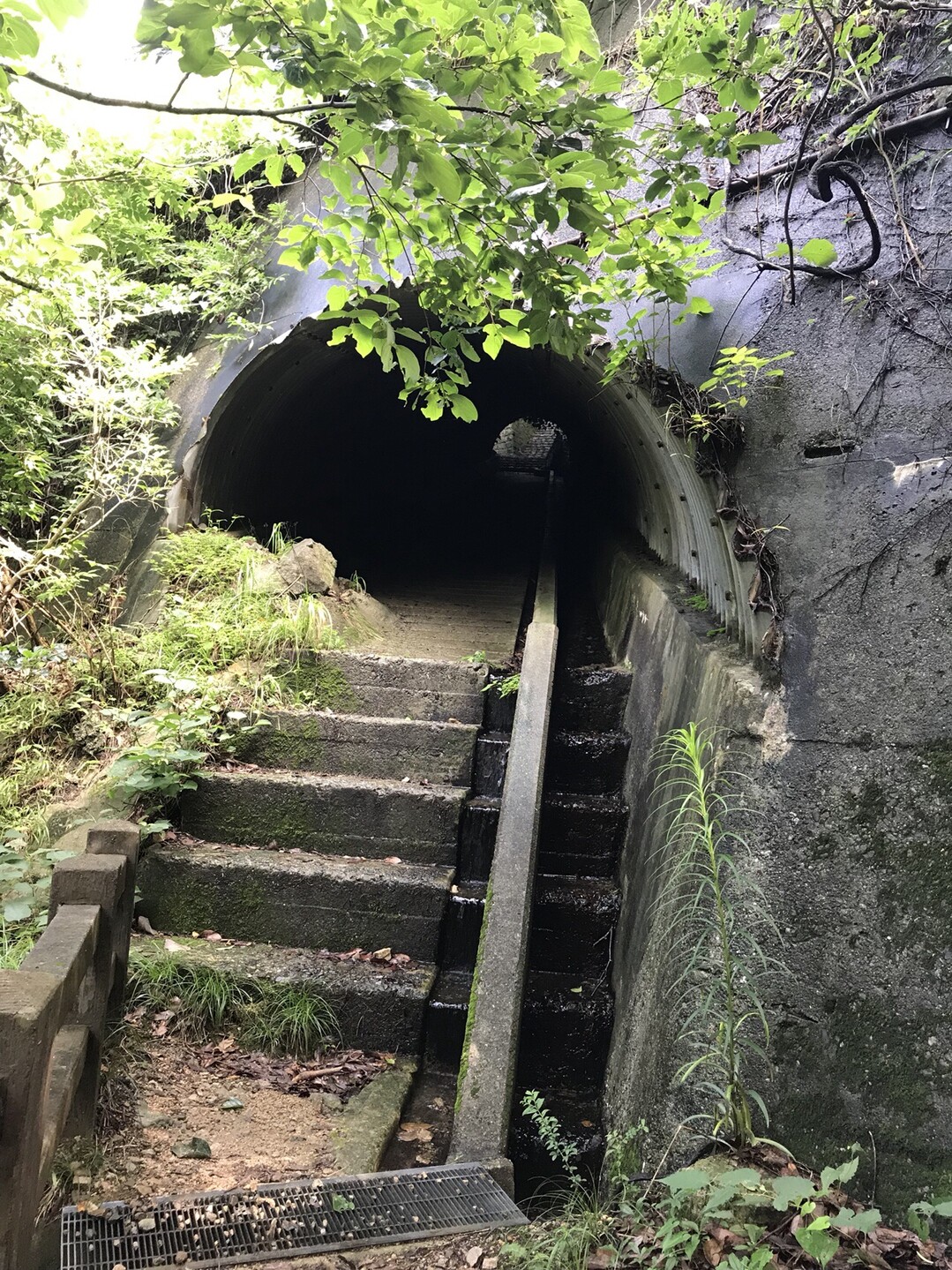 六甲山アイスロード T Sさんの六甲山 長峰山 摩耶山の活動データ Yamap ヤマップ