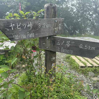 ヤビツ峠から二ノ塔まで。バスは満員だったのに、こちらに来る人は少ないのか登山道は空いていた。ガスが多いからか？