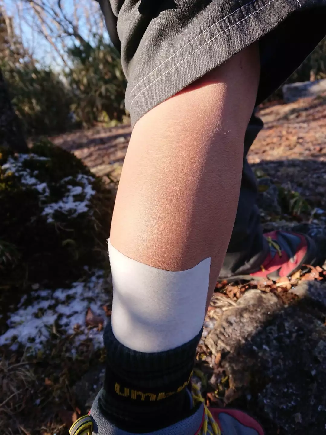 子供が筋肉痛の為 下十枚山まで湿布を貼りに行きました Ktomcatさんの十枚山の活動データ Yamap ヤマップ
