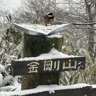 みやり