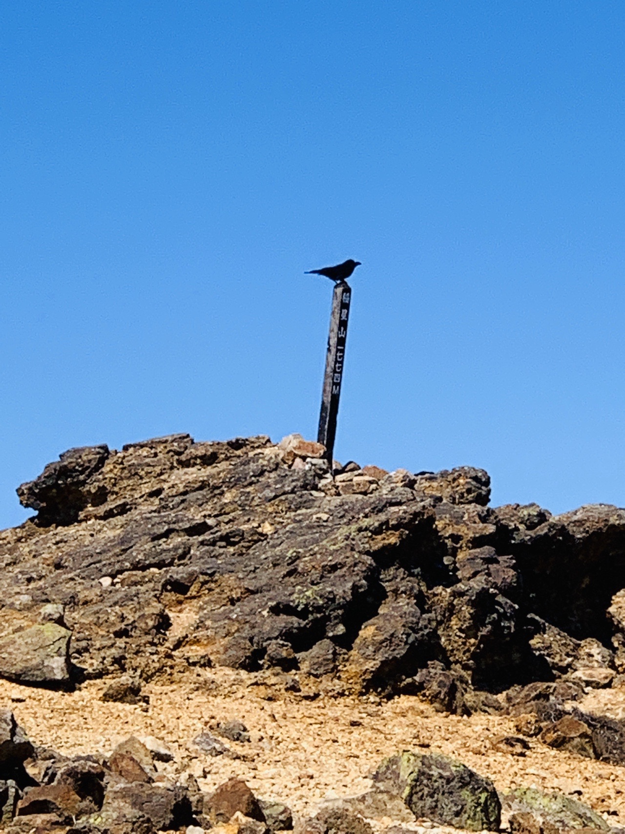 雲ひとつない空 稲星山へ 03 ヒロさんの九重山 久住山 大船山 星生山の活動データ Yamap ヤマップ