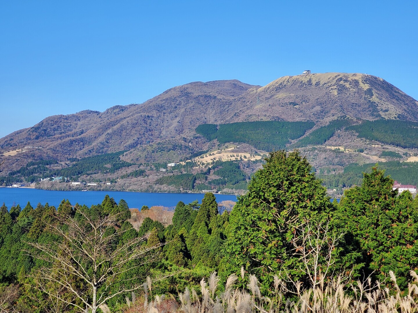 箱根山・神山の登山ルート・コースタイム付き無料登山地図 | YAMAP / ヤマップ