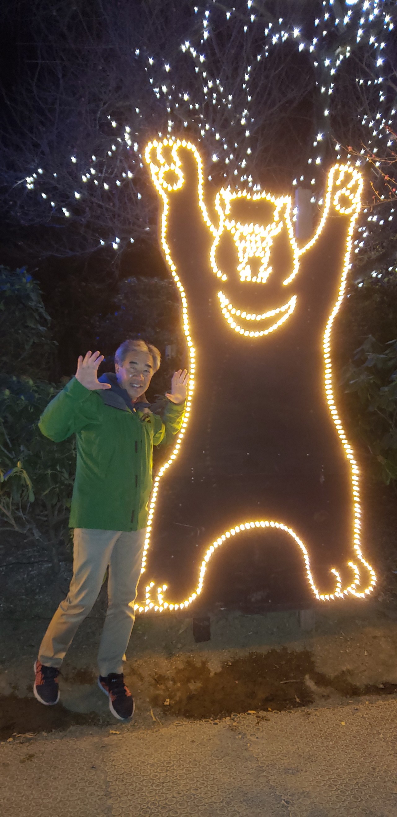 厄除けしたかったのにぃぃ これじゃあ大厄 ﾟ ﾟ D ﾟ ﾟ Jinjinさんの大小山 妙義山 西場富士の活動日記 Yamap ヤマップ