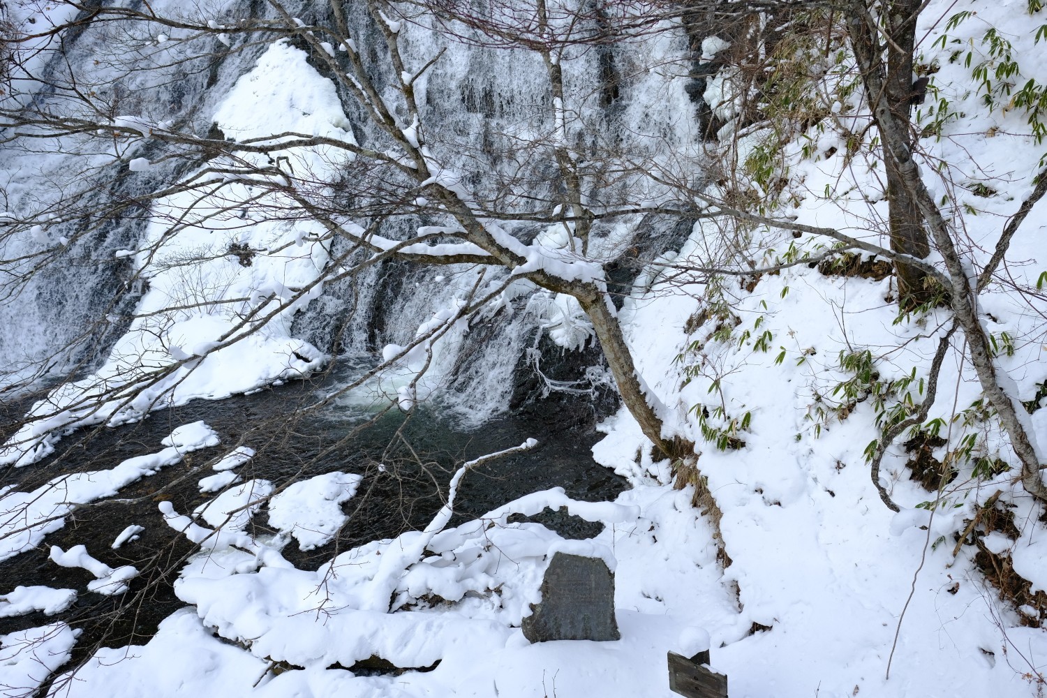 冬の奥日光 1日目 小田代ヶ原 湯滝 湯ノ湖 おくさんの日光白根山 五色山 錫ヶ岳の活動データ Yamap ヤマップ