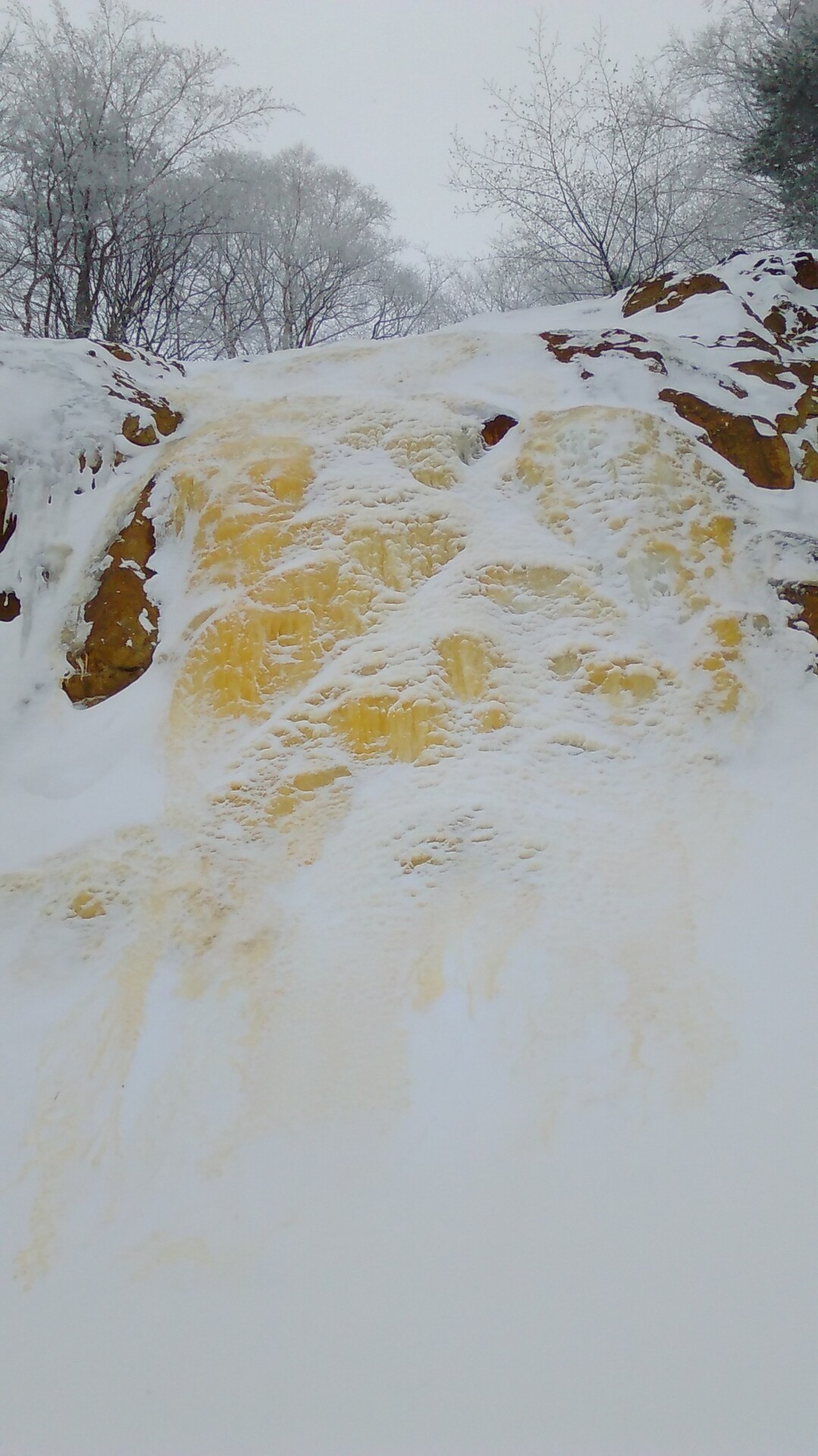 イエローフォールとしぶき氷偵察 みーさんの磐梯山 雄国山 赤埴山の活動データ Yamap ヤマップ