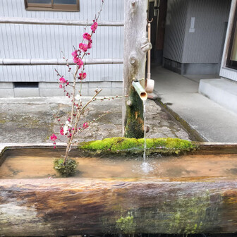 熊野古道 小辺路 集落の中の風情ある手水😻