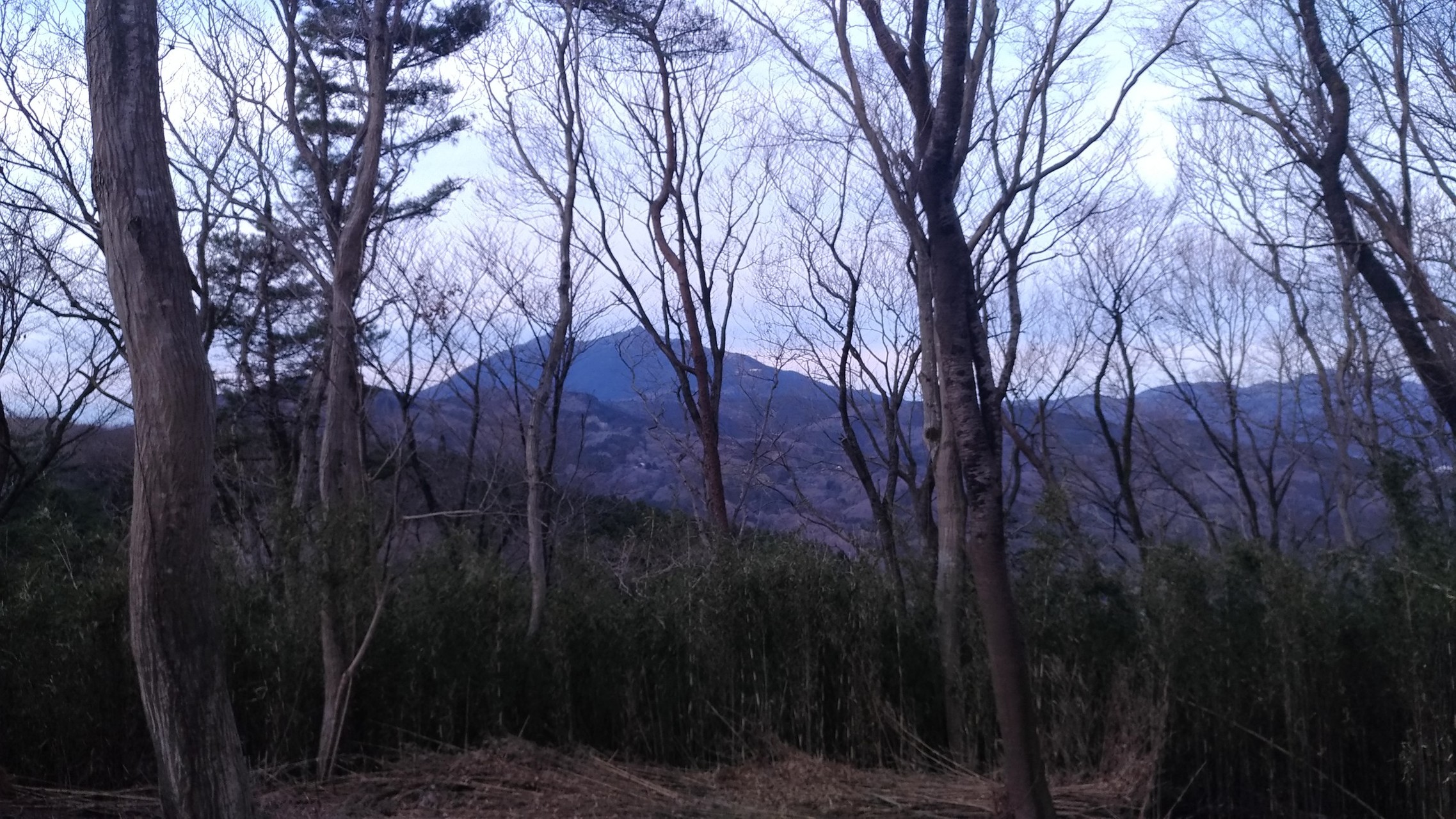 タンタンたぬきの小町山 Khakiさんの宝篋山 富岡山の活動日記 Yamap ヤマップ