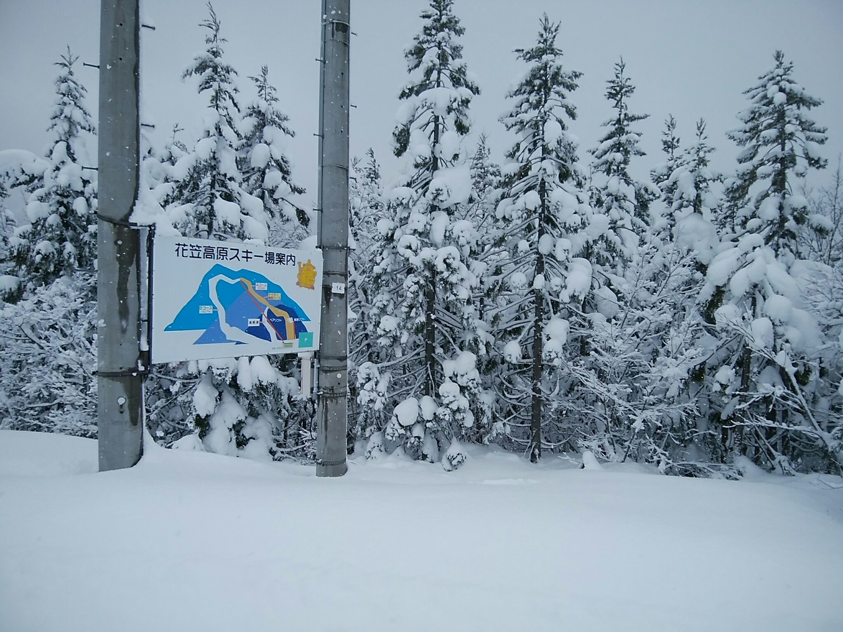 山形県尾花沢市 花笠高原 優ちゃんさんの船形山 御所山 泉ヶ岳 蛇ヶ岳の活動日記 Yamap ヤマップ