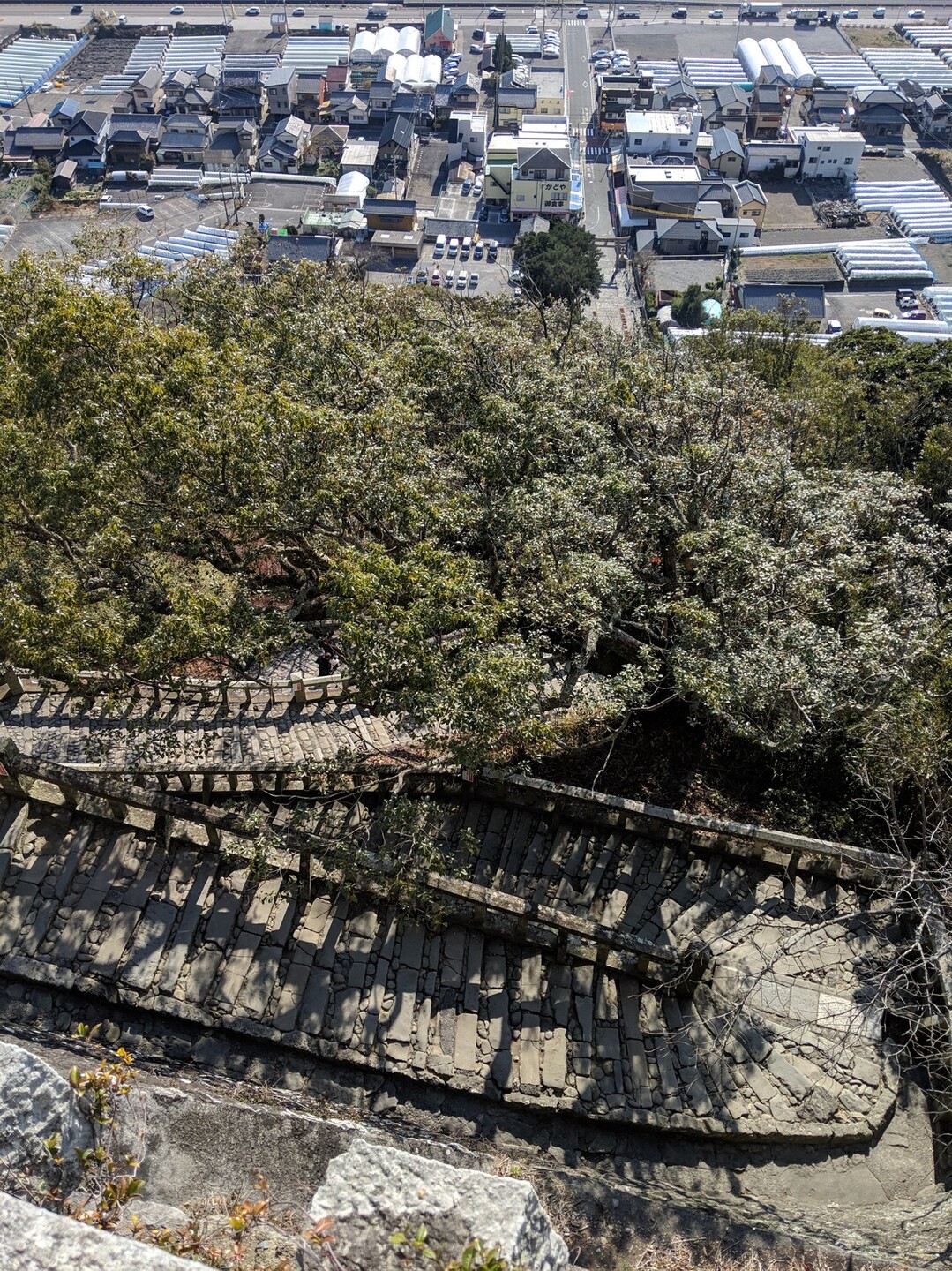 久能山東照宮へウォーキング気持ちよかよ 誠さんの静岡市 駿河区 の活動日記 Yamap ヤマップ