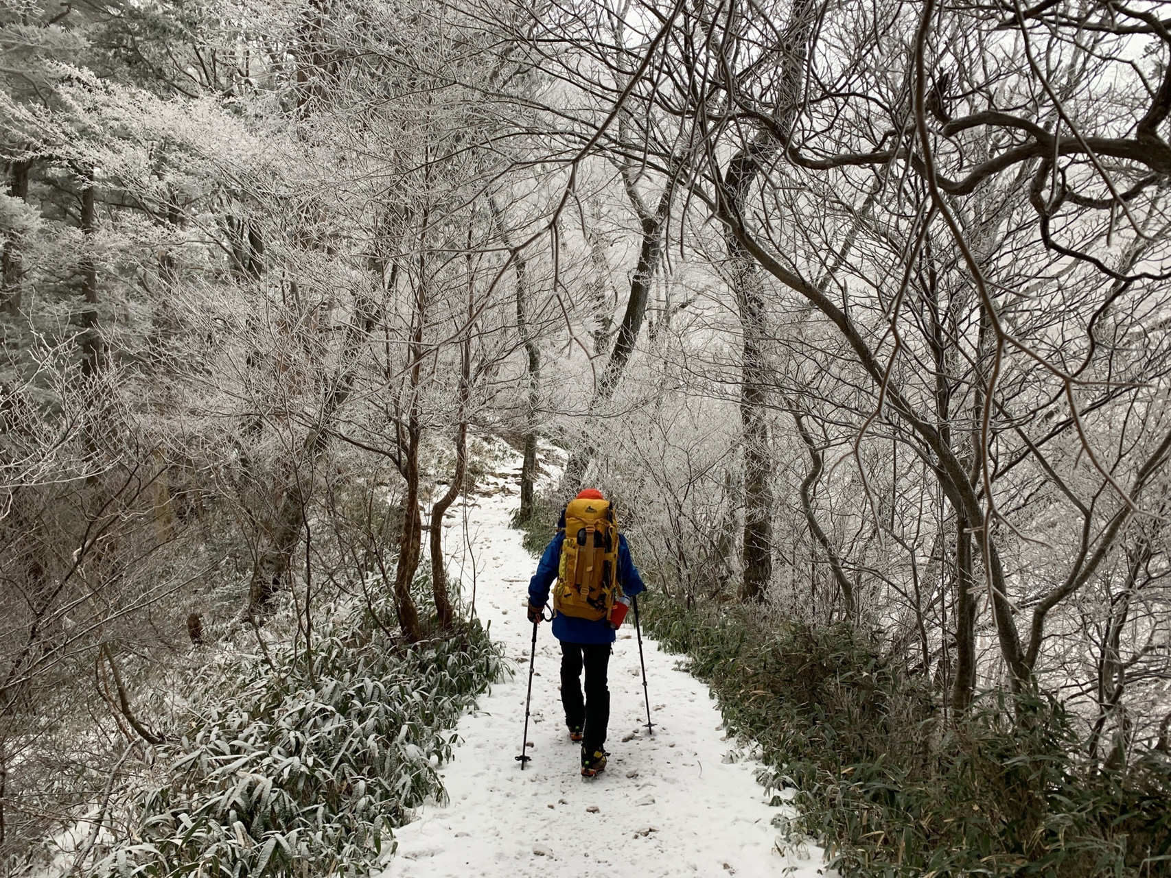 19年初登山 Masaさんの石鎚山 堂ヶ森 二ノ森の活動日記 Yamap ヤマップ