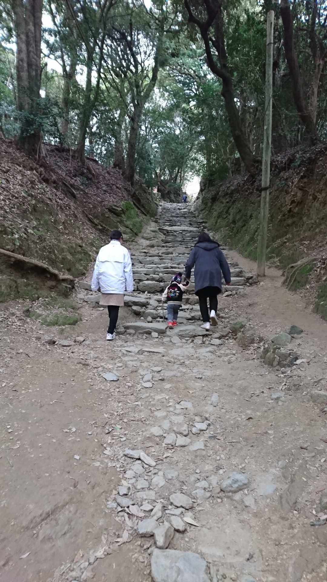 妊婦登山part2 里帰り先 久留米にて ウメマルさんの高良山 発心山 鷹取山の活動データ Yamap ヤマップ