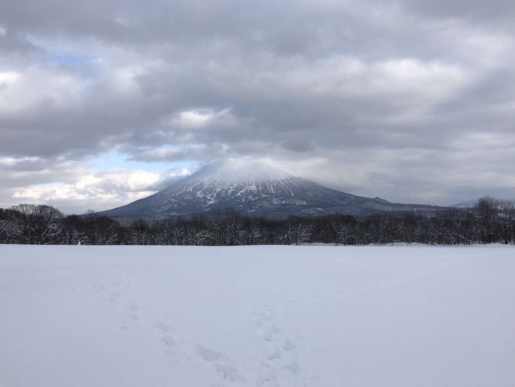 コテージ泊 ニセコヒラフスキー場 ゆりさんのニセコアンヌプリ イワオヌプリ チセヌプリの活動データ Yamap ヤマップ