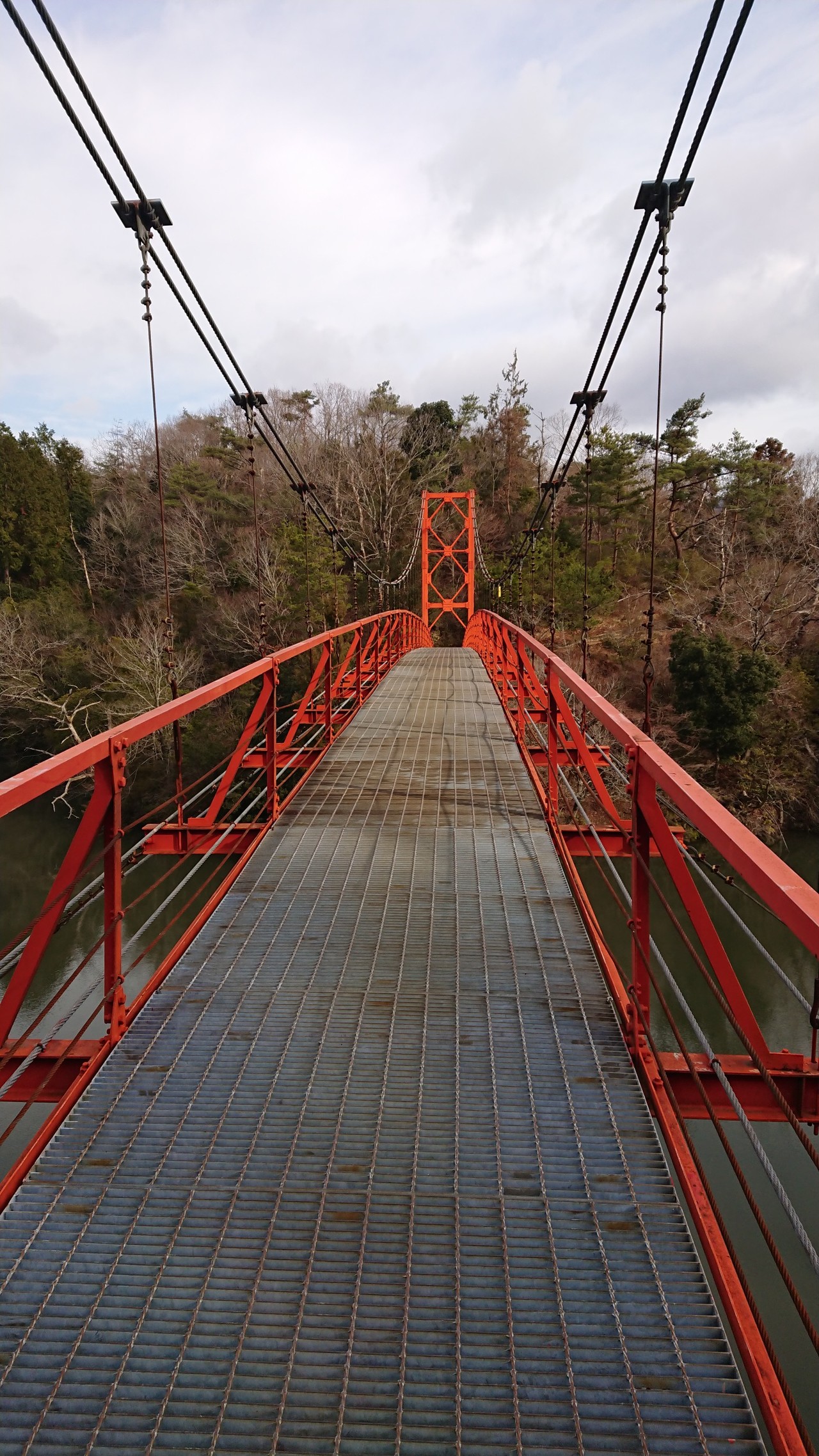 杉村公園から三石山 ユートクさんの岩湧山 一徳防山 三石山の活動日記 Yamap ヤマップ