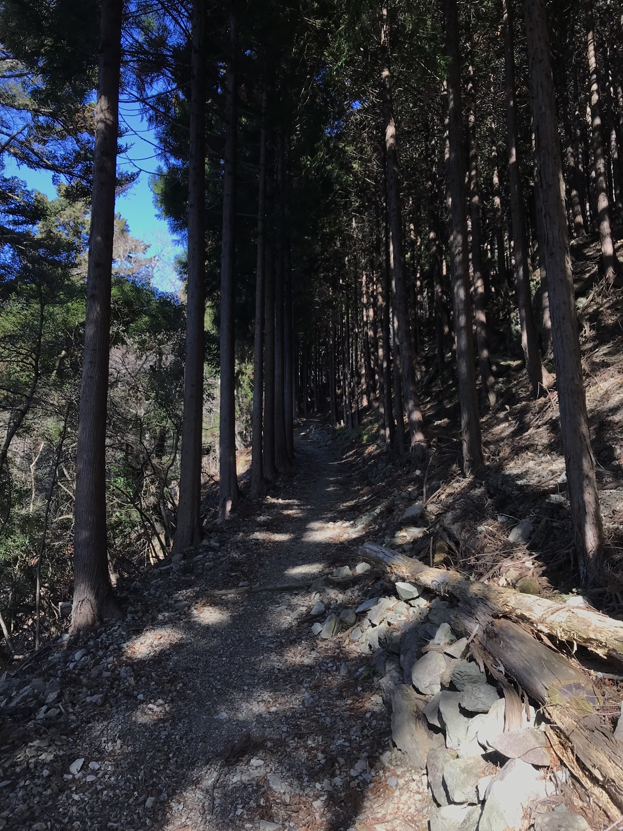 山梨県 日蓮宗総本山 身延山に登りました とめさんの七面山 身延山の活動日記 Yamap ヤマップ