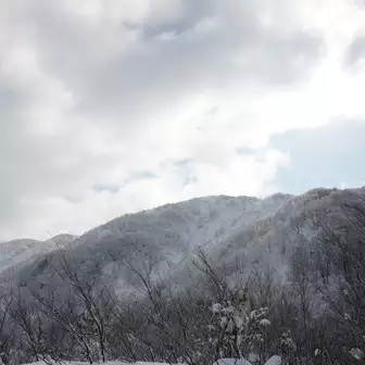 峰 天気 銀杏 大野の銀杏峰を登れる山へ！山を支える75歳