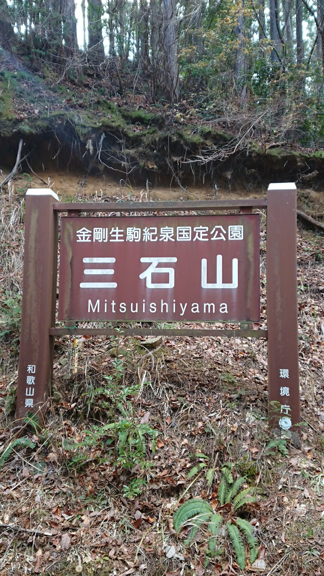 杉村公園から三石山 ユートクさんの岩湧山 一徳防山 三石山の活動データ Yamap ヤマップ