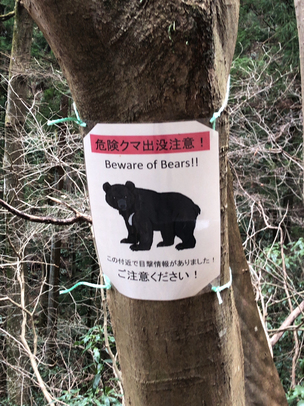 裏高尾 いろはの森 高尾山 Ken Kenさんの高尾山 陣馬山 景信山の活動データ Yamap ヤマップ