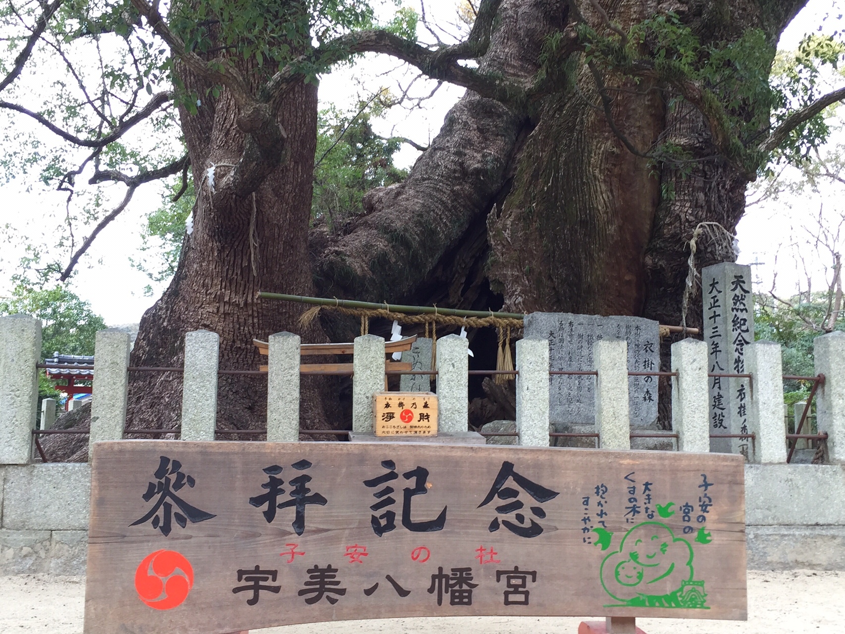 樟 楠 巨木探訪シリーズ 宇美八幡宮の大樟 第5位 しょうやんさんの井野山の活動日記 Yamap ヤマップ