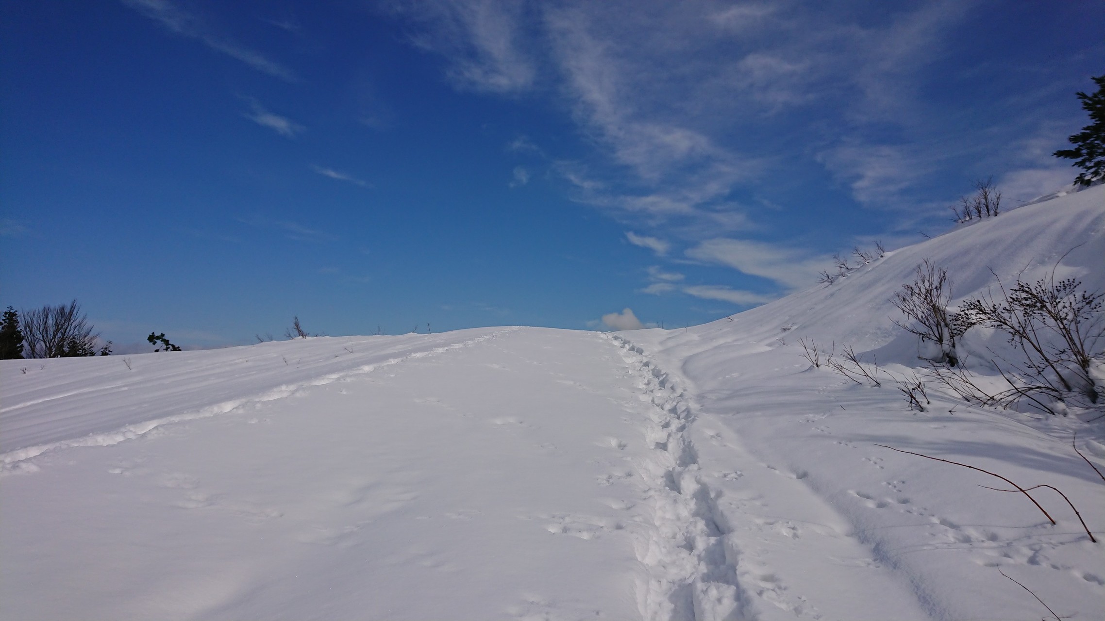 下権現堂山 なんちゃってbc 初 やまださんの上権現堂山 下権現堂山 唐松山の活動日記 Yamap ヤマップ