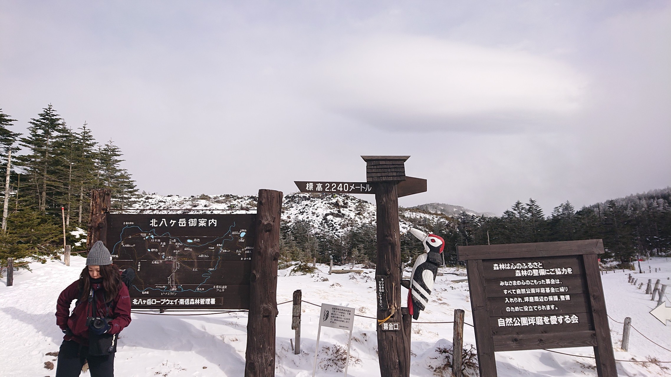 北八ヶ岳ハイク 青苔荘 テント1泊 がりばあさんの蓼科山 横岳 縞枯山の活動日記 Yamap ヤマップ