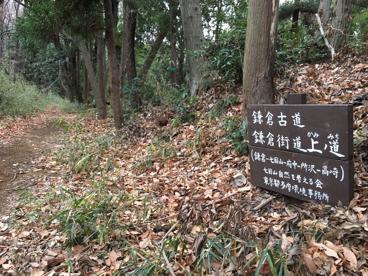 鎌倉古道上道 野津田 七国山 町田駅 Gotofishingさんの多摩市の活動データ Yamap ヤマップ